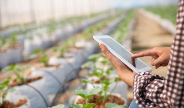 Qual a Importância da Assinatura Digital para o Agronegócio?
